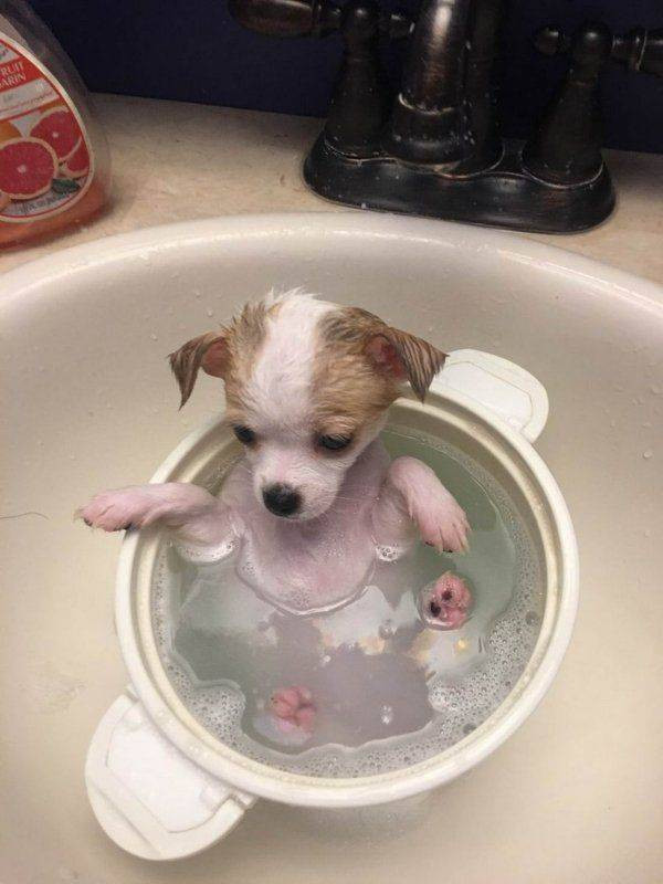 Для хорошего настроения  Всякая всячина