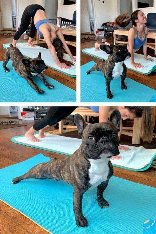 Для хорошего настроения  Всякая всячина