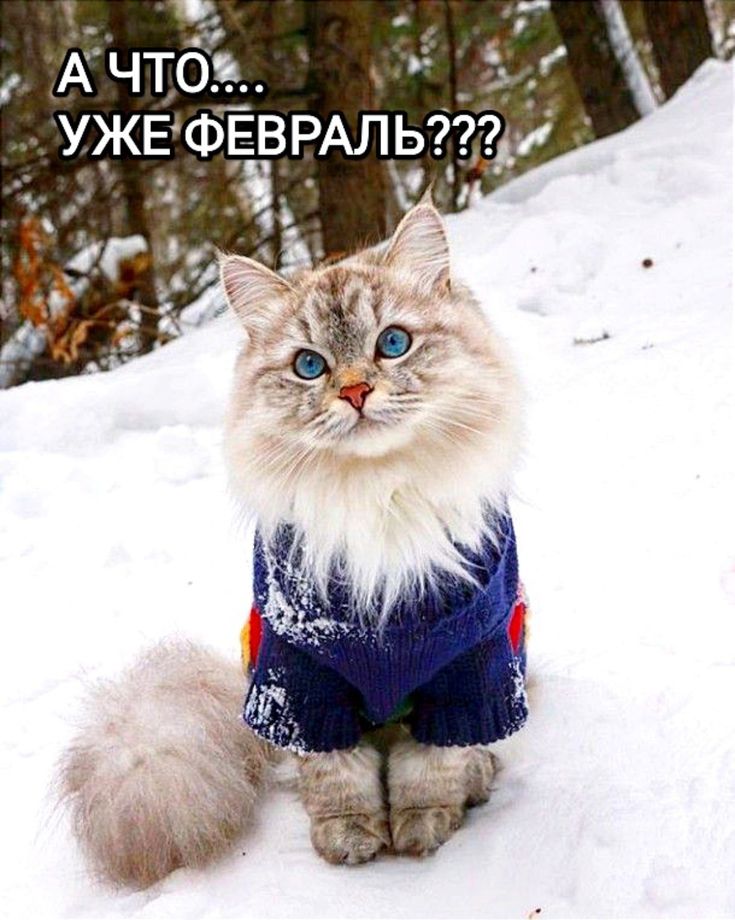 Для хорошего настроения (30 фото)