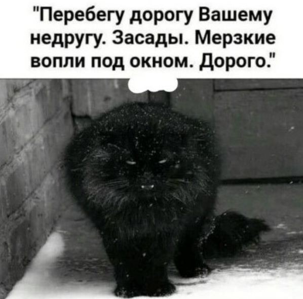 Потешные зверушки (30 фото)