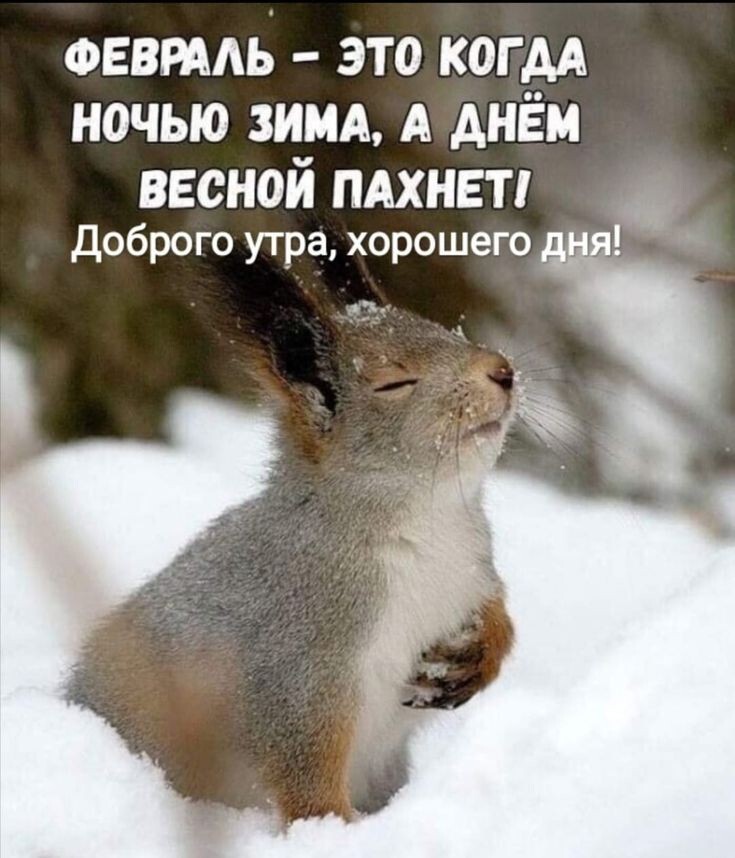 Пятничное настроение (30 фото)