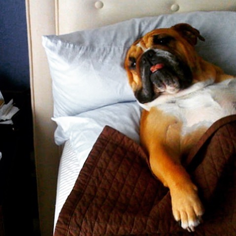 Настроение - Понедельник (30 фото)