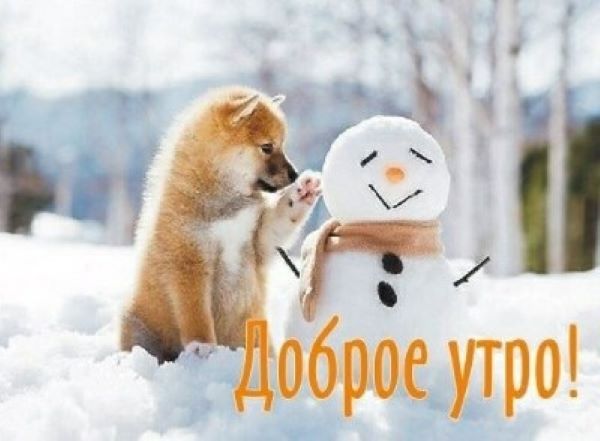 Для хорошего настроения 