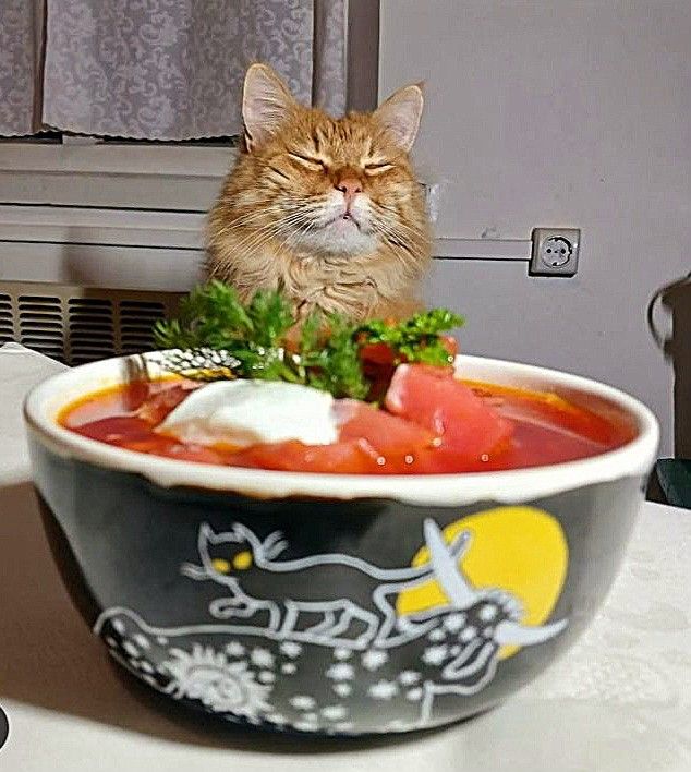 Кушать подано! (30 фото)