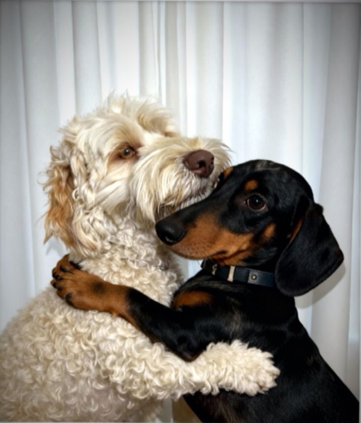 Дай, я тебя обниму (20 фото)