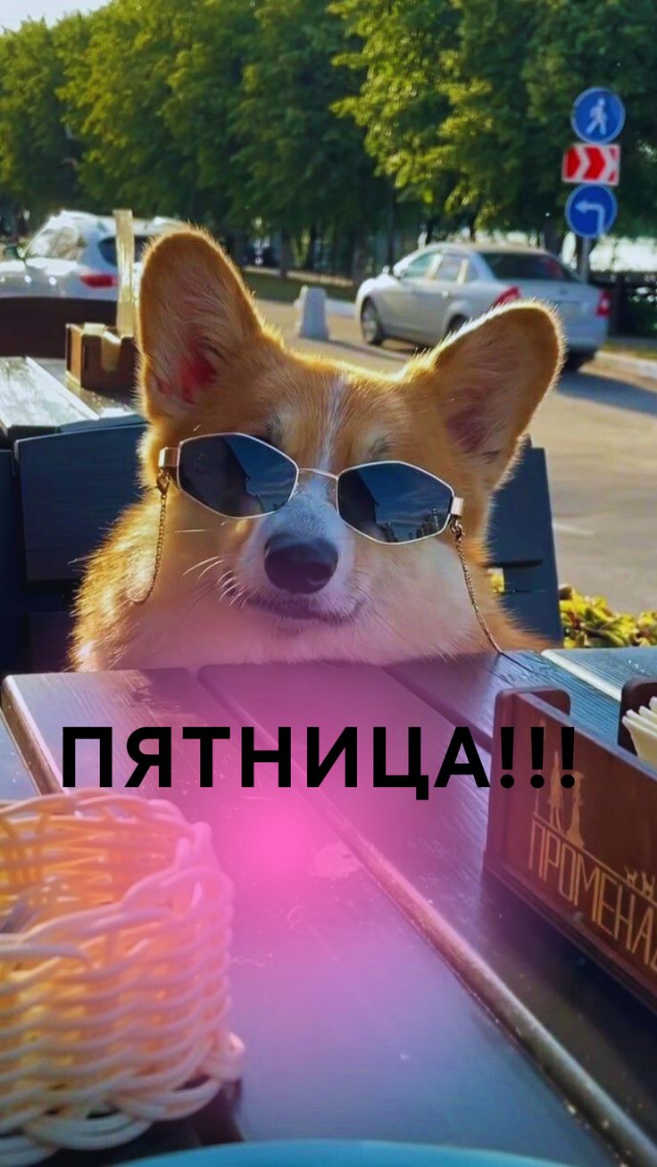 Пятничное настроение (30 фото)