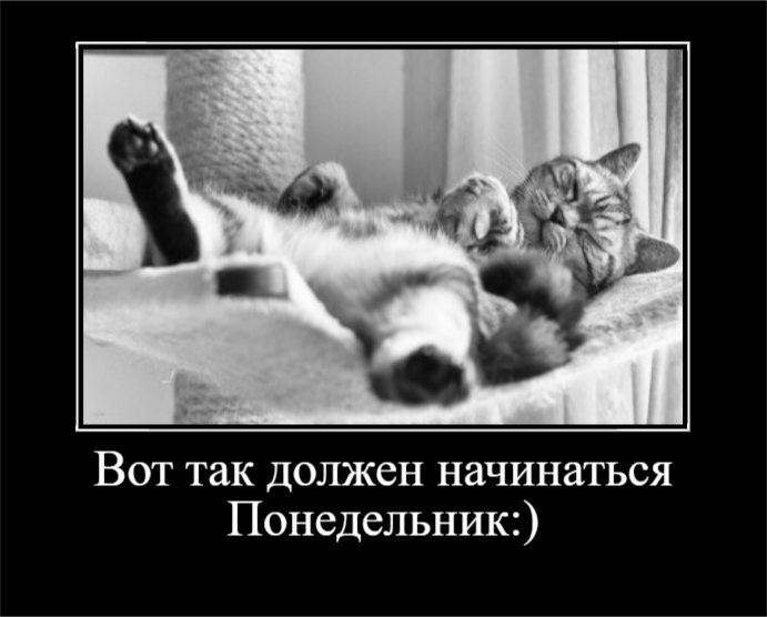 Настроение - Понедельник (30 фото)