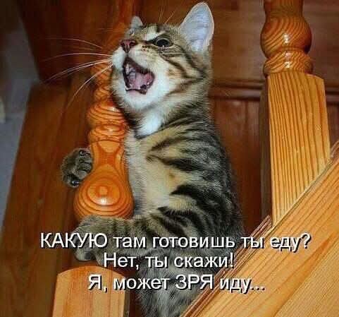 Для хорошего настроения  Всякая всячина