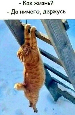 Для хорошего настроения  Всякая всячина