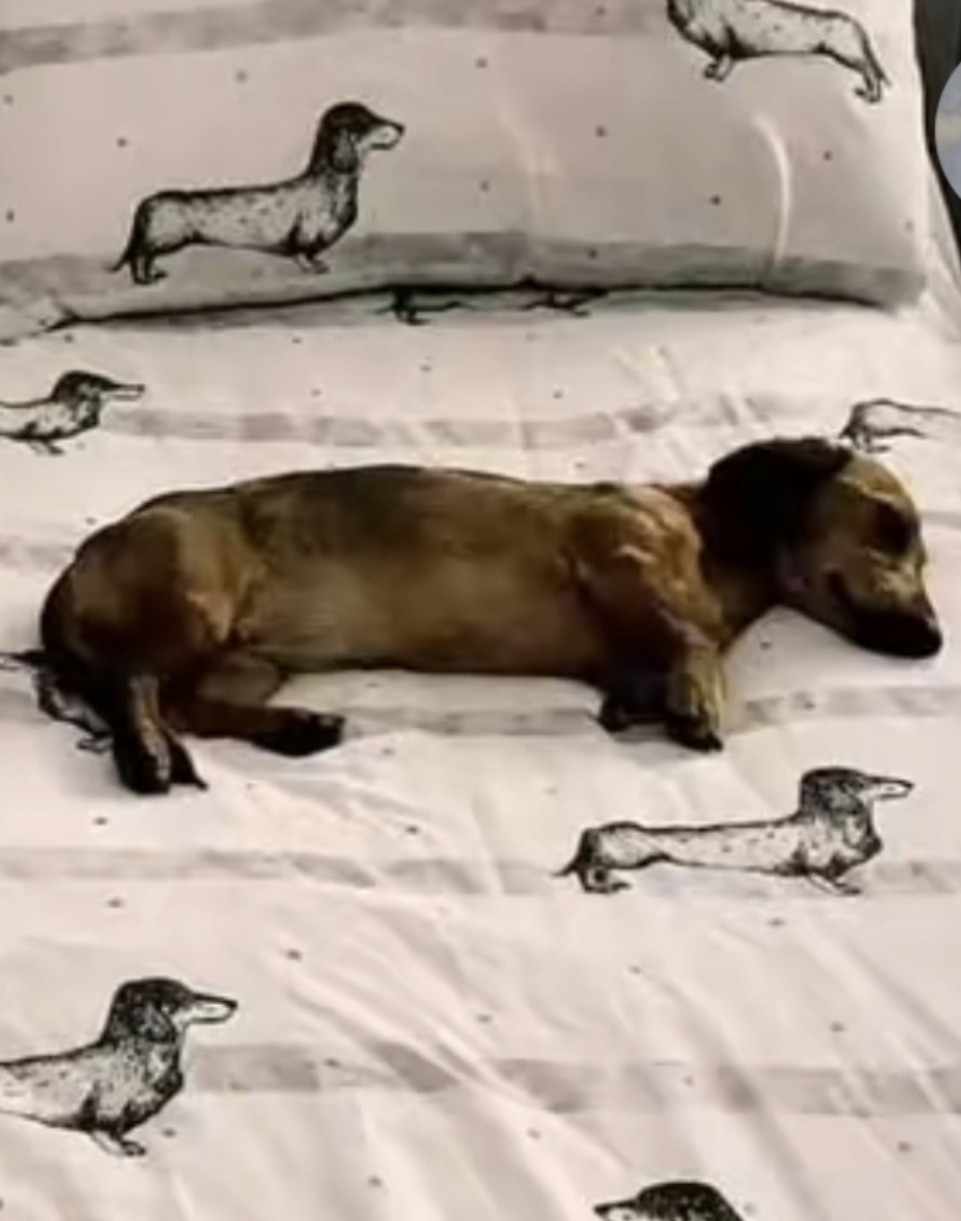 Для хорошего настроения  Всякая всячина