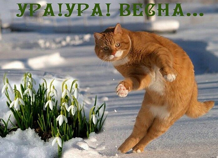 Настроение - Весна! (30 фото)