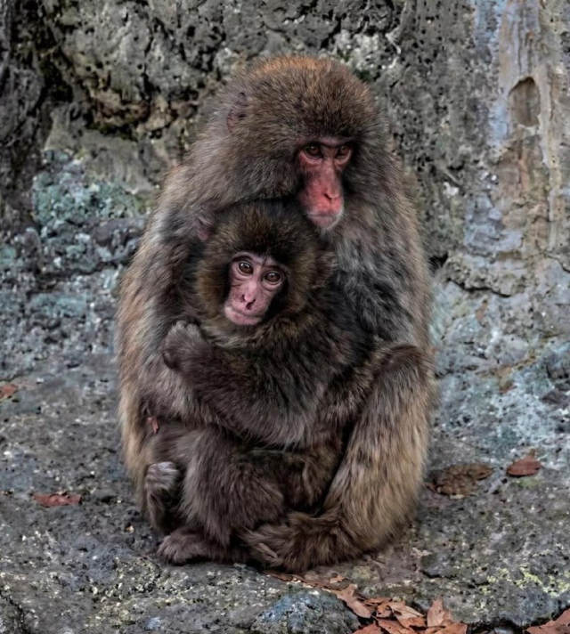 Самый милый пост (2 фото)