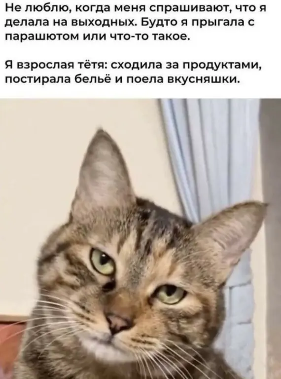 Для отличного настроения (30 фото)