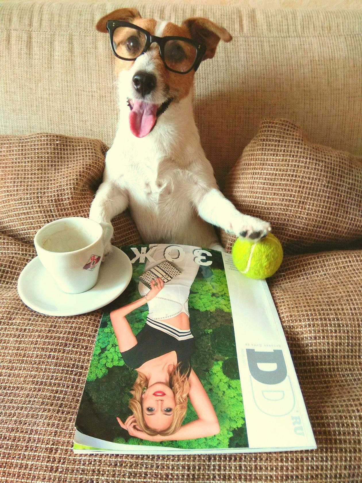 Забавные животные, которые подарят вам хорошее настроение (30 фото)