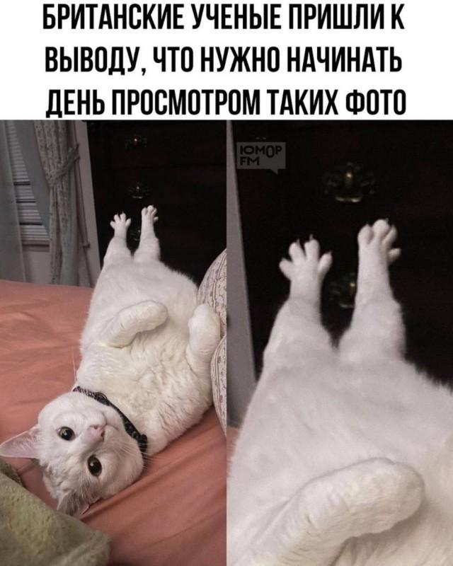 Пятничное настроение (30 фото) Доброе, Пусть, прекрасным, Станет, удача, счастье, разом, охватят, объятые, пятничное, радостью, мечты, сбылись, приятного, очень, Пожелать, иначе