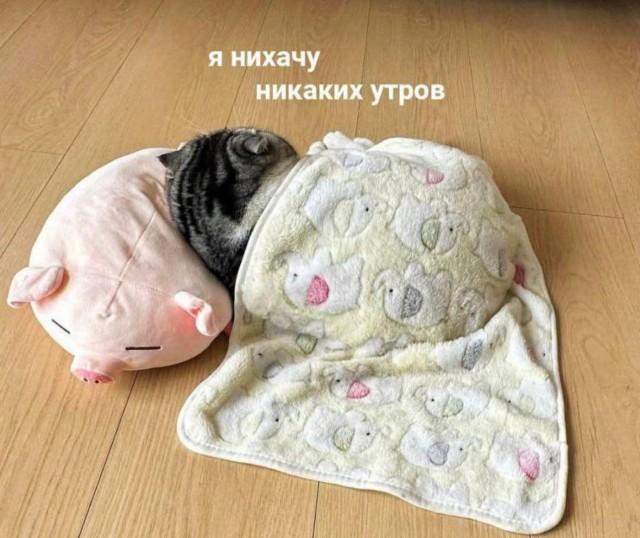 Пятничное настроение (30 фото) Доброе, Пусть, прекрасным, Станет, удача, счастье, разом, охватят, объятые, пятничное, радостью, мечты, сбылись, приятного, очень, Пожелать, иначе