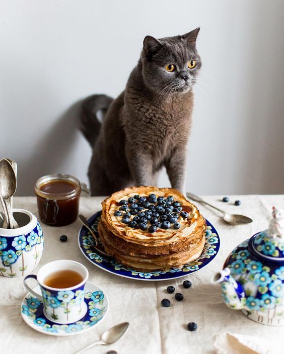 С добрым сладким утром! (30 фото)