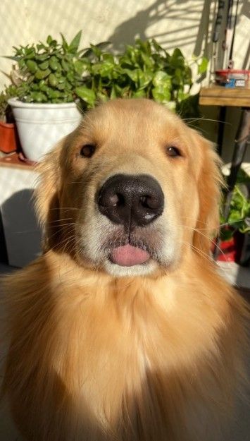 Просто для улыбки! (30 фото)