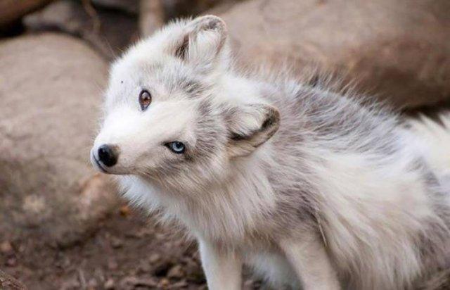 Пятничное настроение (30 фото) Доброе, Пусть, прекрасным, Станет, удача, счастье, разом, охватят, объятые, пятничное, радостью, мечты, сбылись, приятного, очень, Пожелать, иначе