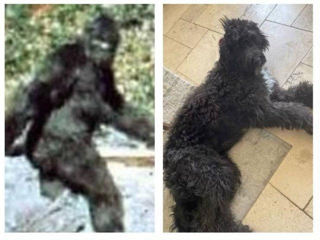 Пятничное настроение (30 фото) Доброе, Пусть, прекрасным, Станет, удача, счастье, разом, охватят, объятые, пятничное, радостью, мечты, сбылись, приятного, очень, Пожелать, иначе