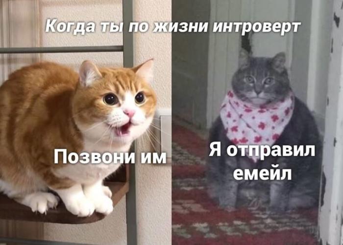 Пятничное настроение (30 фото) Доброе, Пусть, прекрасным, Станет, удача, счастье, разом, охватят, объятые, пятничное, радостью, мечты, сбылись, приятного, очень, Пожелать, иначе