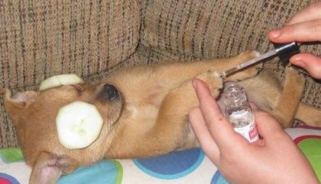 Пятничное настроение (30 фото) Доброе, Пусть, прекрасным, Станет, удача, счастье, разом, охватят, объятые, пятничное, радостью, мечты, сбылись, приятного, очень, Пожелать, иначе