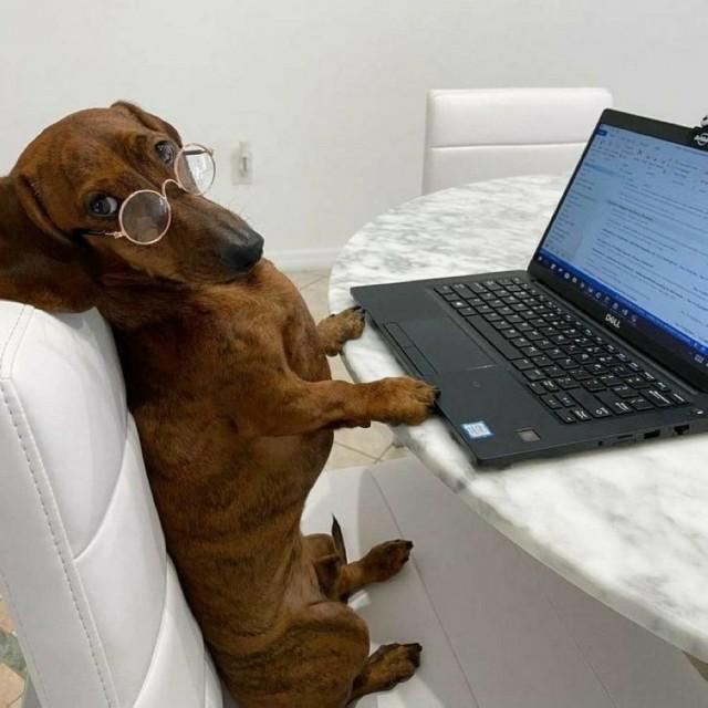 Пятничное настроение (30 фото) Доброе, Пусть, прекрасным, Станет, удача, счастье, разом, охватят, объятые, пятничное, радостью, мечты, сбылись, приятного, очень, Пожелать, иначе