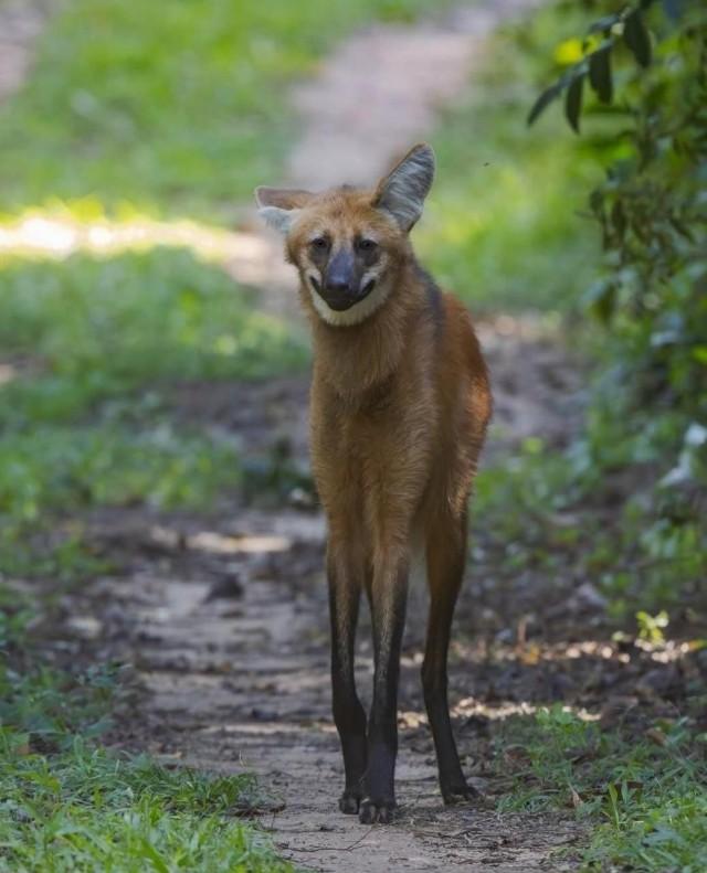 Пятничное настроение (30 фото) Доброе, Пусть, прекрасным, Станет, удача, счастье, разом, охватят, объятые, пятничное, радостью, мечты, сбылись, приятного, очень, Пожелать, иначе