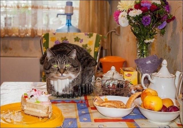 Пятничное настроение (30 фото) Доброе, Пусть, прекрасным, Станет, удача, счастье, разом, охватят, объятые, пятничное, радостью, мечты, сбылись, приятного, очень, Пожелать, иначе