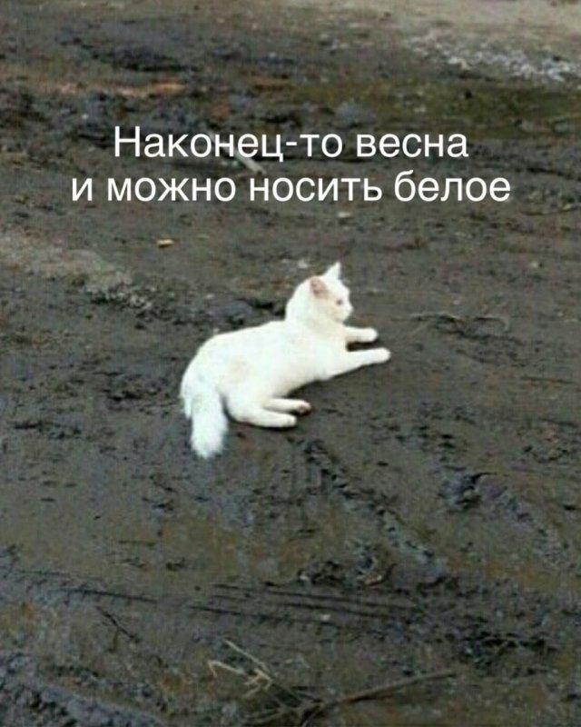 Для хорошего настроения (30 фото)