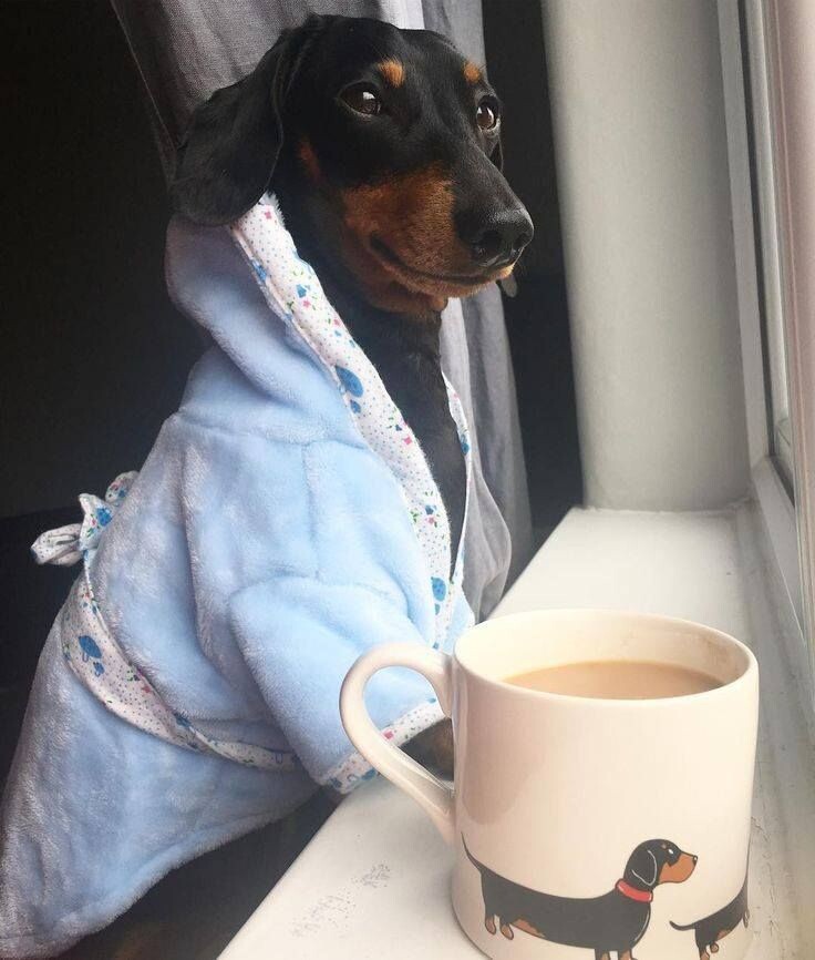 Для отличного настроения (30 фото)