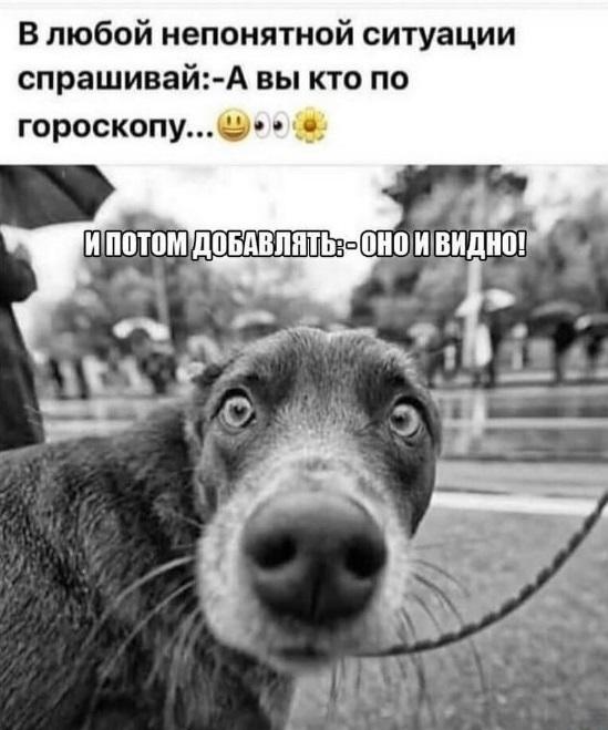 Смешные картинки (30 фото)