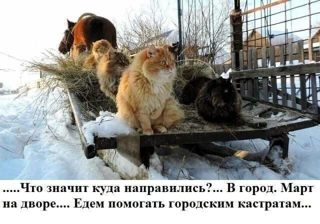 Настроение - Пятница (30 фото)