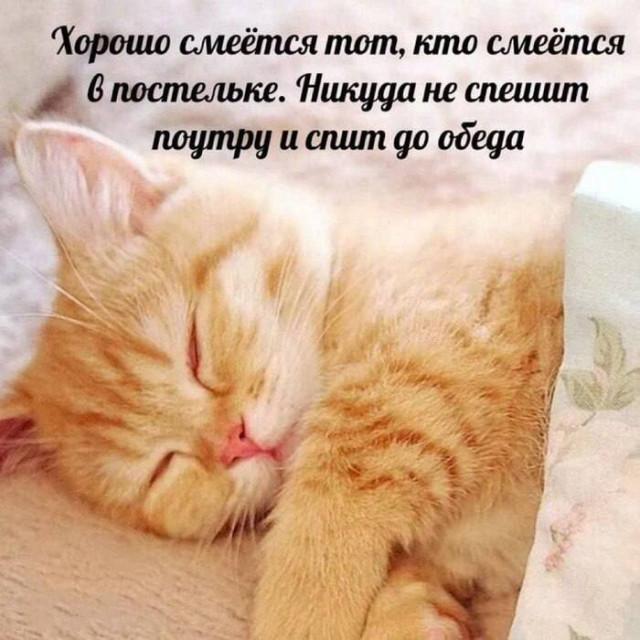 Просто для улыбки (30 фото)