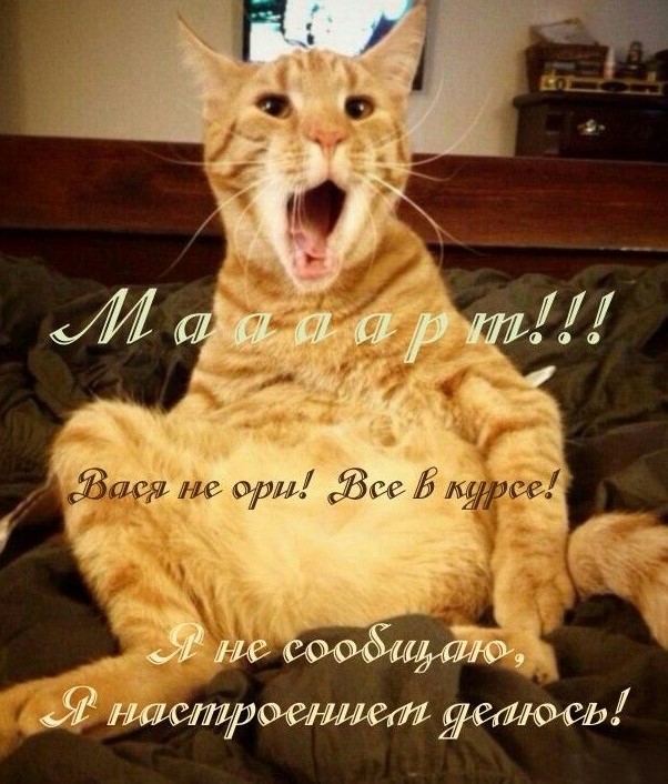 Пятничное настроение (30 фото)