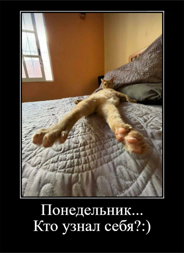 Настроение — Понедельник (30 фото)