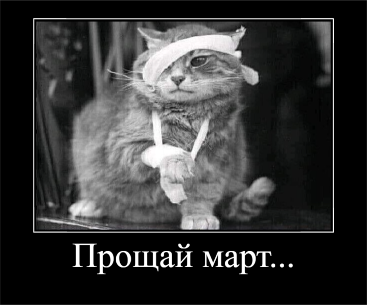 Пушистое настроение (30 фото)