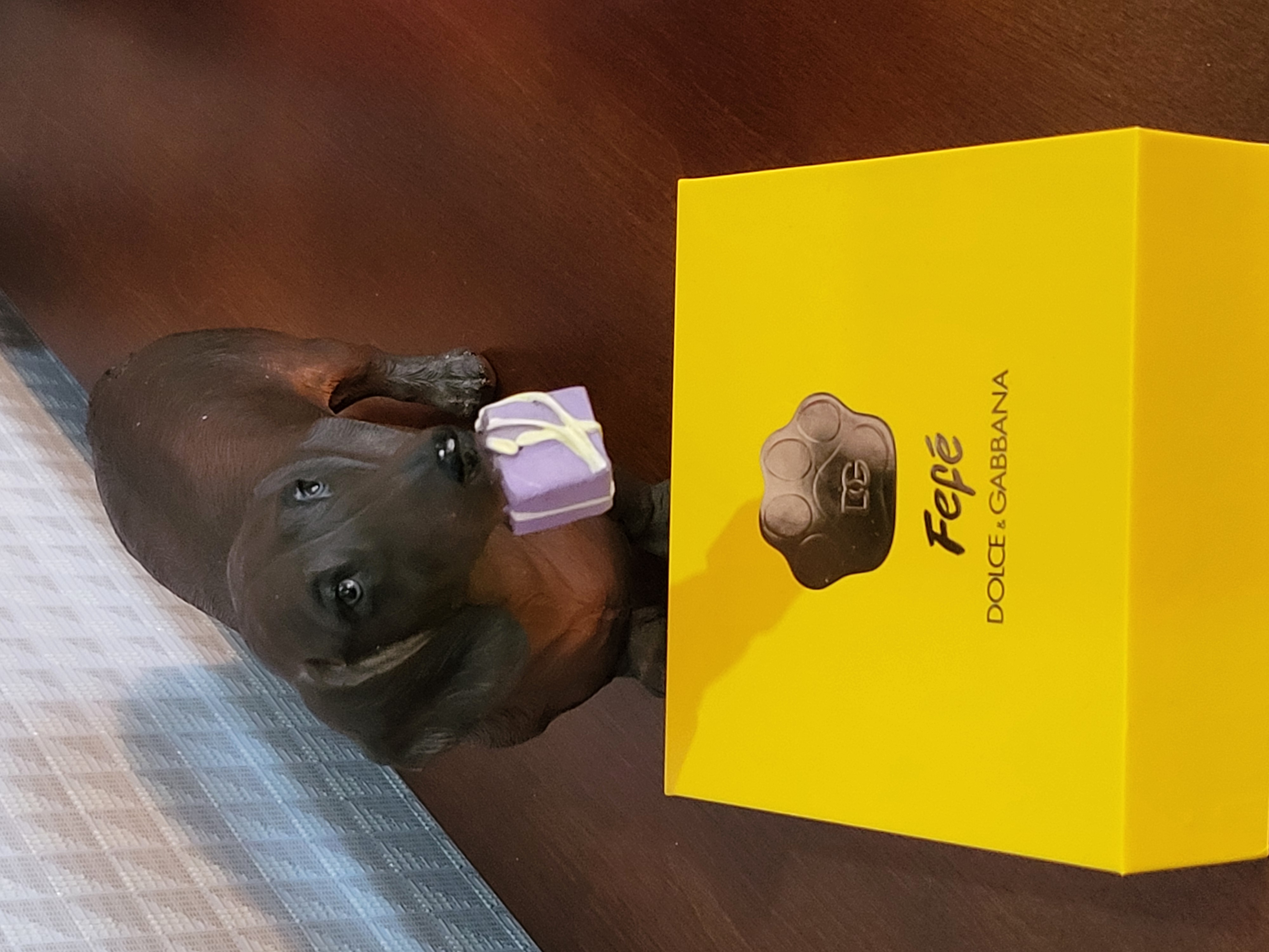 Внимание!!! Конкурс!!! (4 фото)