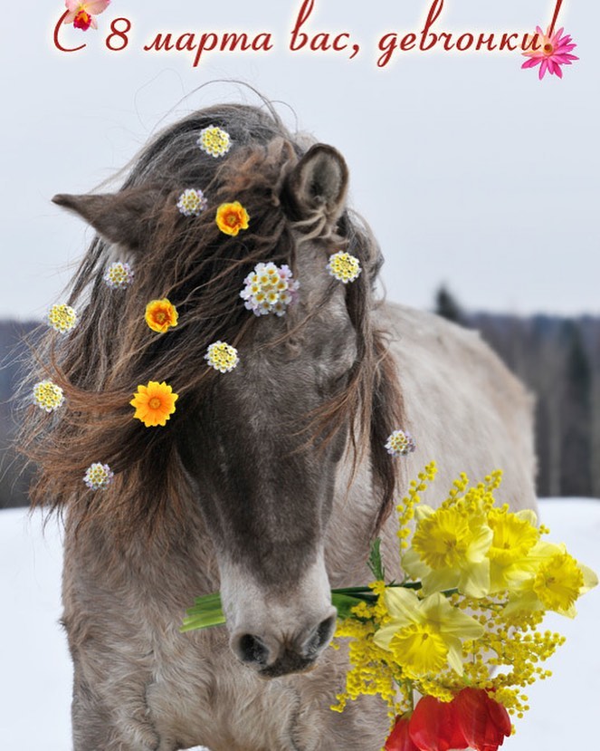 С 8 Марта, дорогие женщины!