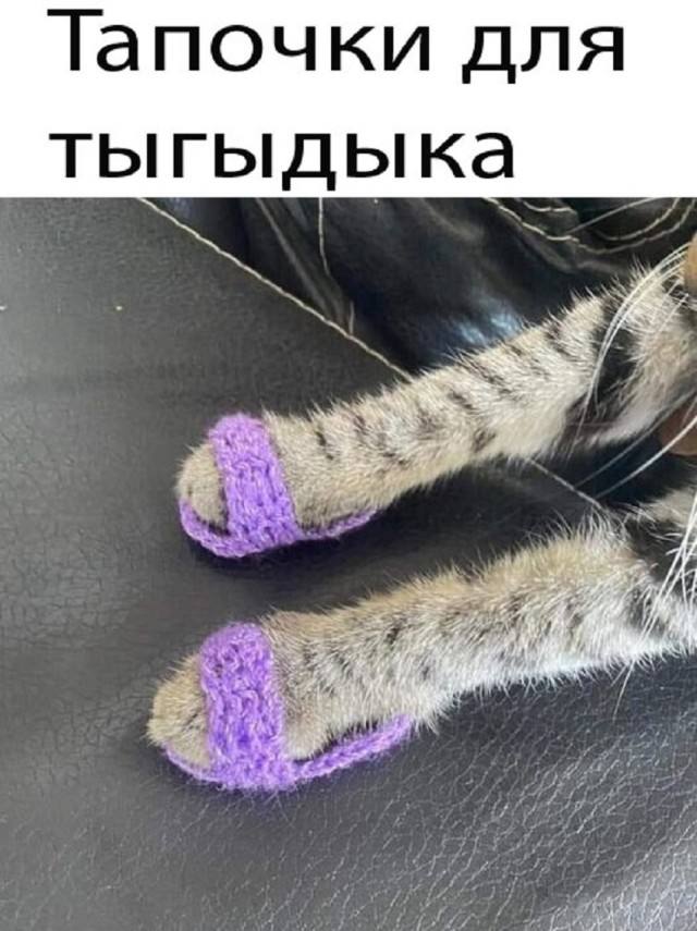 Пятничное настроение (30 фото) Доброе, Пусть, прекрасным, Станет, удача, счастье, разом, охватят, объятые, пятничное, радостью, мечты, сбылись, приятного, очень, Пожелать, иначе