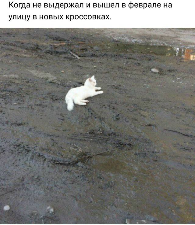 Пятничное настроение (30 фото) Доброе, Пусть, прекрасным, Станет, удача, счастье, разом, охватят, объятые, пятничное, радостью, мечты, сбылись, приятного, очень, Пожелать, иначе