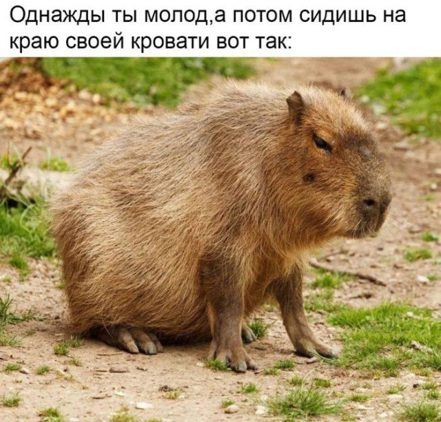 Пятничное настроение (30 фото) Доброе, Пусть, прекрасным, Станет, удача, счастье, разом, охватят, объятые, пятничное, радостью, мечты, сбылись, приятного, очень, Пожелать, иначе