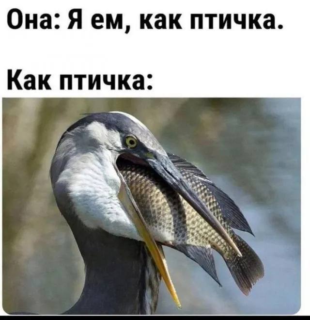 Пятничное настроение (30 фото) Доброе, Пусть, прекрасным, Станет, удача, счастье, разом, охватят, объятые, пятничное, радостью, мечты, сбылись, приятного, очень, Пожелать, иначе