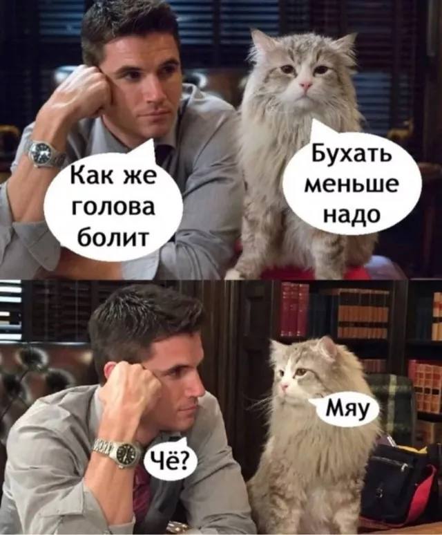 Пятничное настроение (30 фото) Доброе, Пусть, прекрасным, Станет, удача, счастье, разом, охватят, объятые, пятничное, радостью, мечты, сбылись, приятного, очень, Пожелать, иначе