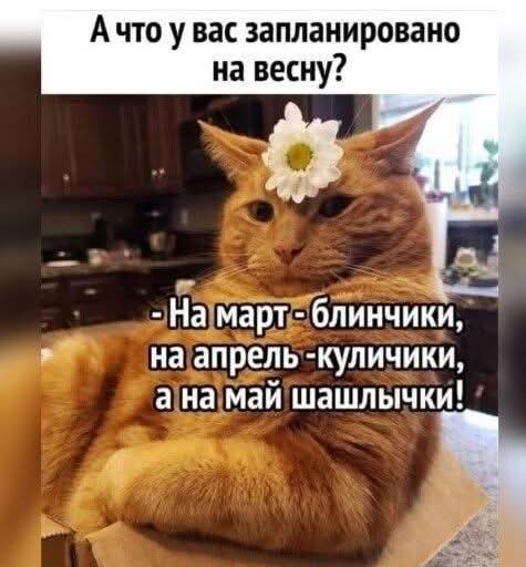 Настроение — Понедельник (30 фото)