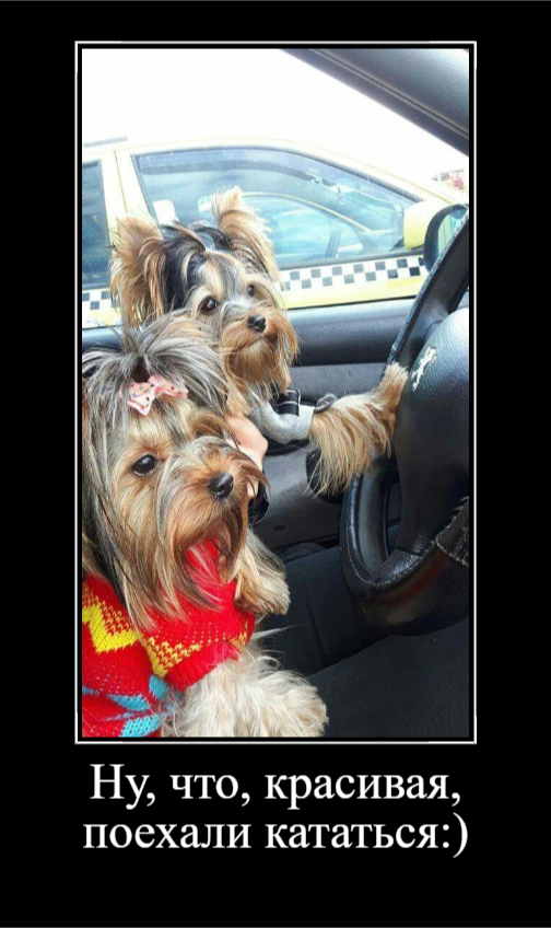 Пятничное настроение (30 фото)