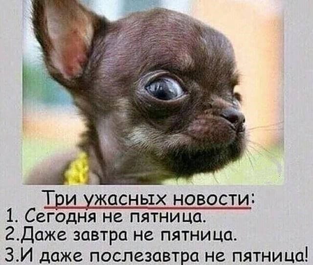 Настроение - Понедельник (30 фото)