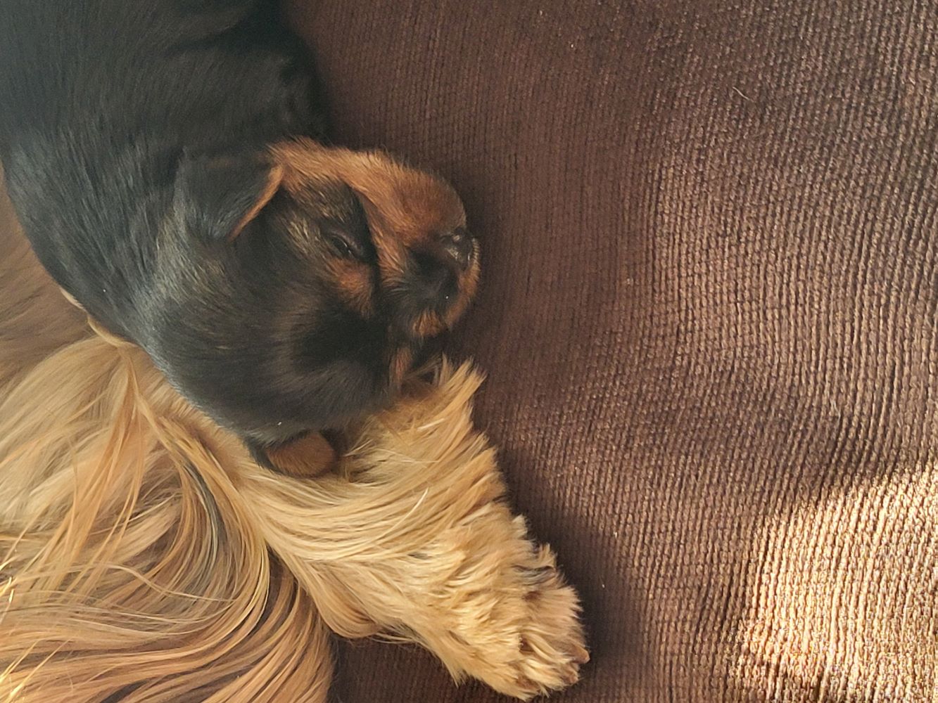 Самое лучшее фото на сегодня