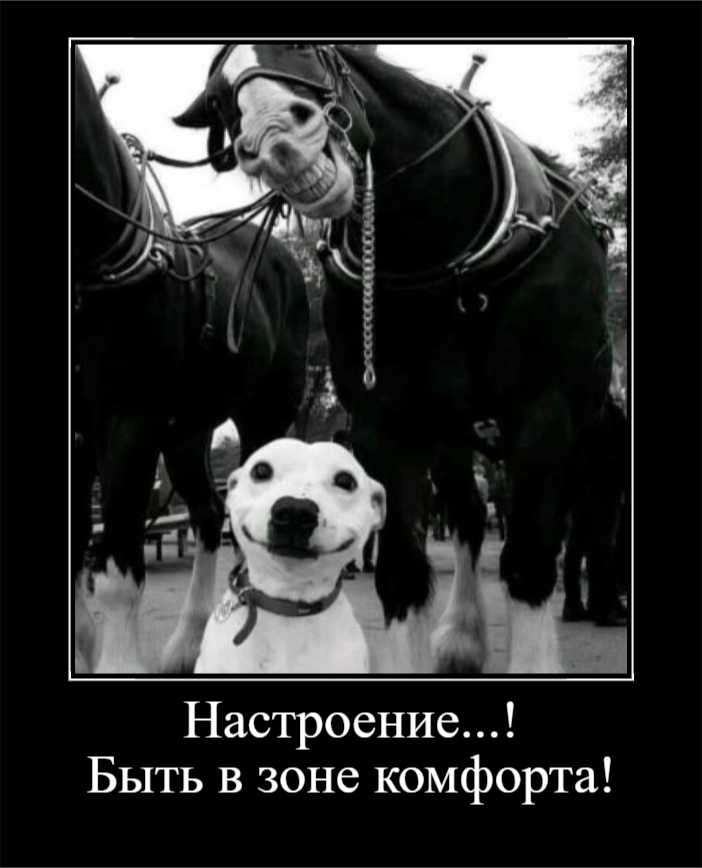 Для отличного настроения (30 фото)