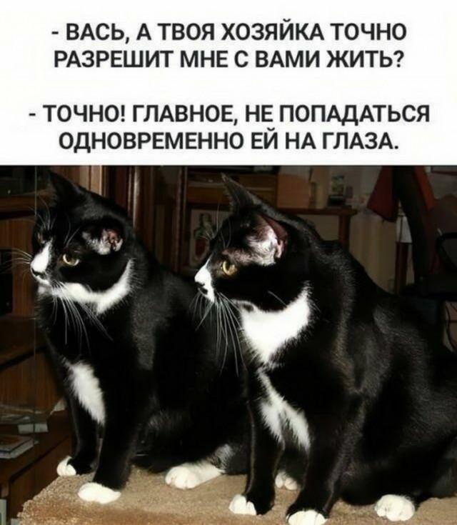 Смешные картинки (30 фото)